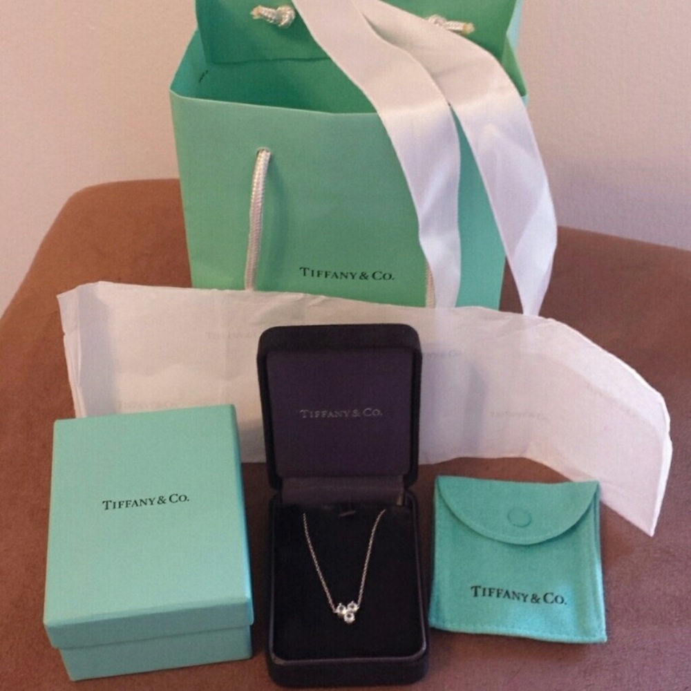Tiffany & Co Necklace - Aquamarine